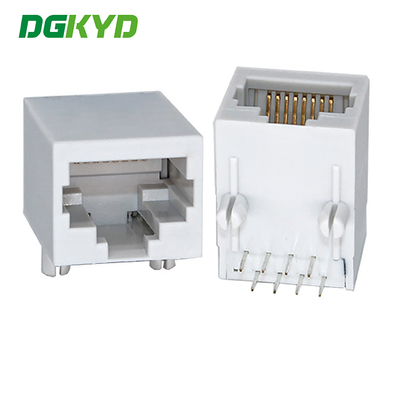 DGKYD111B002IWC4D single port RJ45 connector, 100Mbps, integrated filtering, fully plastic, without light network socket