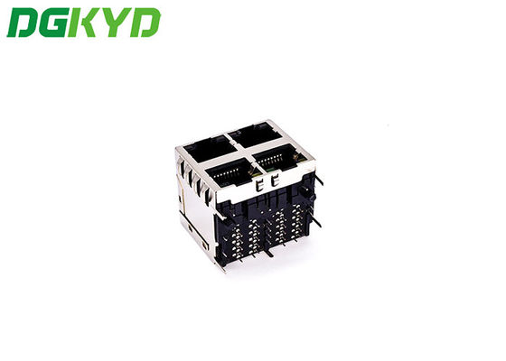 1 Gigabit 2x2 RJ45 Network Connector With PA66 Plastic Housing